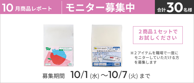 左から募集商品の画像2点が並んでいる