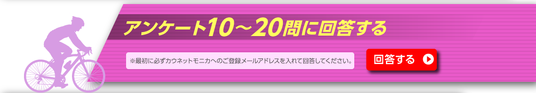 アンケート10～20問に回答する