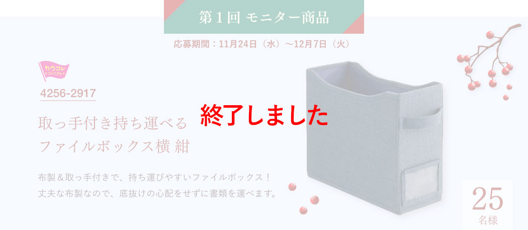 第1回モニター商品　応募期間：11月24日（水）～12月6日（火）