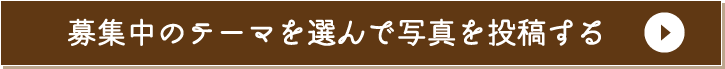募集中のテーマを選んで写真を投稿する