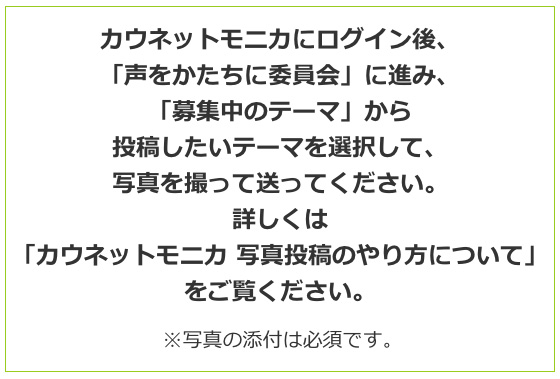 カウネットモニカにログイン後、「声をかたちに委員会」に進み、「募集中のテーマ」から投稿したいテーマを選択して、写真を撮って送ってください。