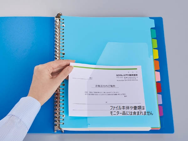 【8月前半のモニチャレ】ファイル用インデックス　ポケット付きＰＰ製仕切カード 30穴 12山★３０名様★